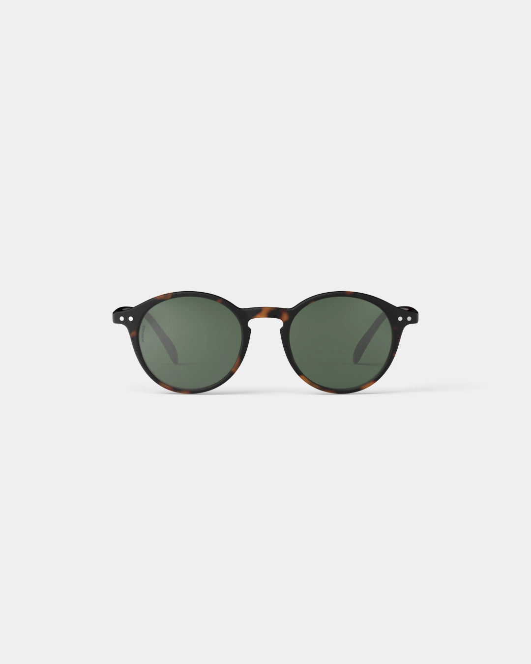 #D TORTOISE POLARIZED