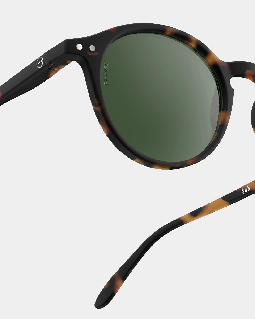 #D TORTOISE POLARIZED