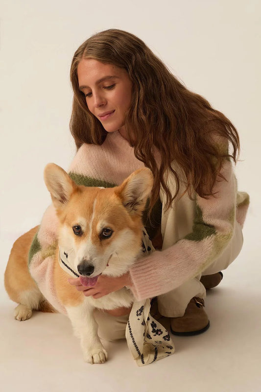 PULL BRETZEL ARGYLE POUDRE