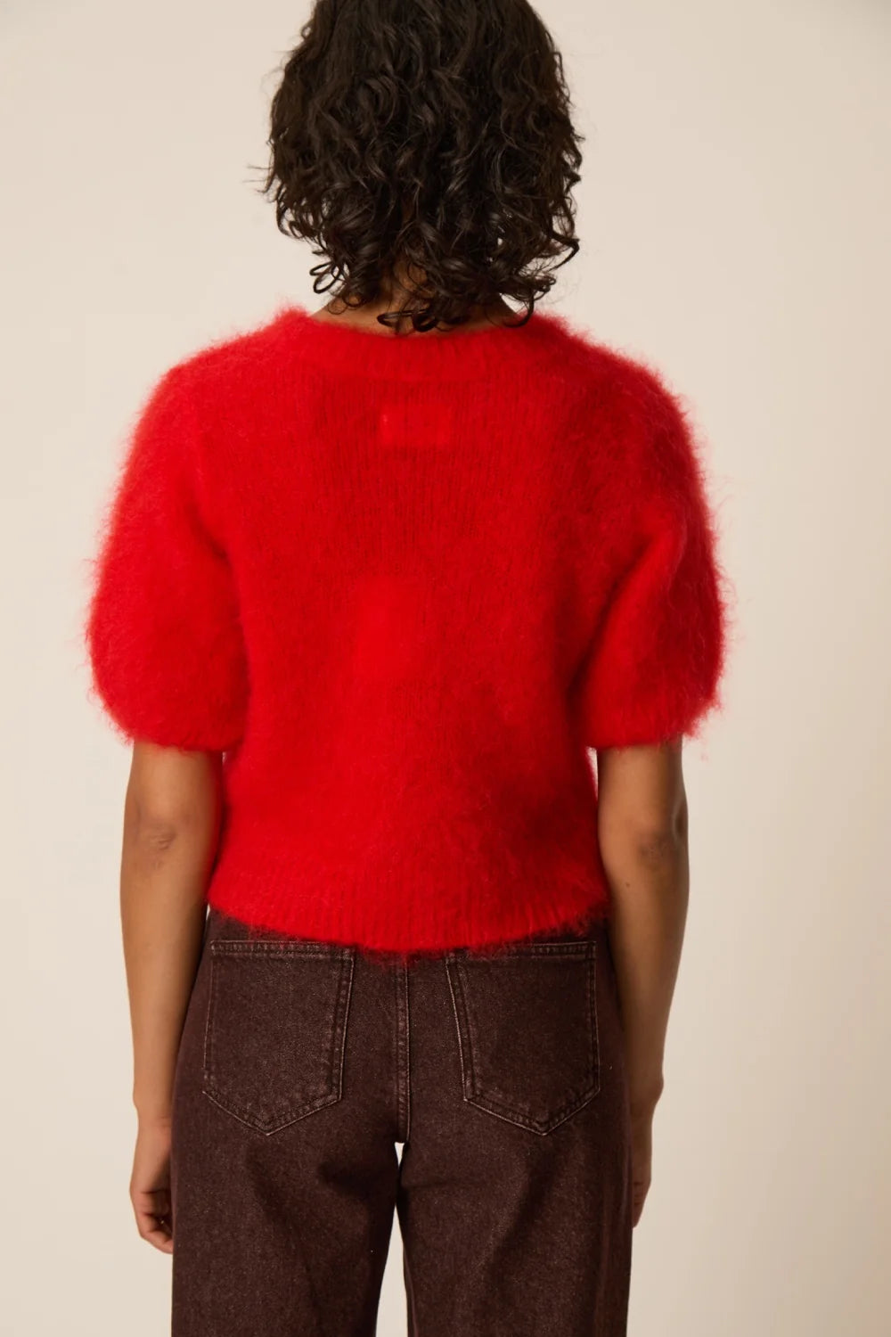 PULL ALEXA ROUGE